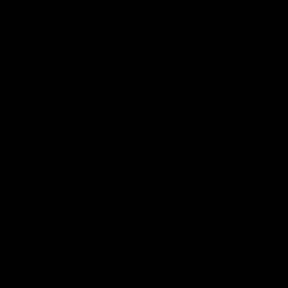 Meet your Posher, Fritzie - Picture 1 of 1